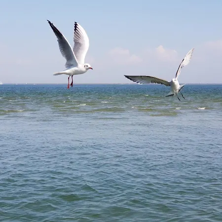 La Fuberia - Seafront Bassin D'arcachon فيلة *